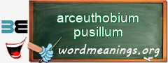 WordMeaning blackboard for arceuthobium pusillum